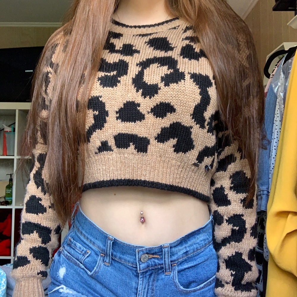 Cheetah Crop Sweater